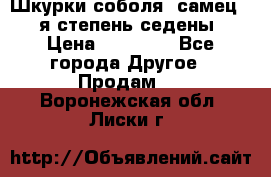 Шкурки соболя (самец) 1-я степень седены › Цена ­ 12 000 - Все города Другое » Продам   . Воронежская обл.,Лиски г.
